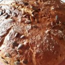 WhatsApp-Backen | Januar 2022