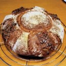 WhatsApp-Backen 2022