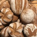 WhatsApp-Backen | Februar 2022