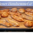 WhatsApp-Backen | Februar 2022