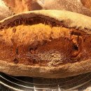 WhatsApp-Backen | März 2022