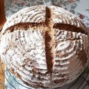 WhatsApp-Backen | Mai 2022