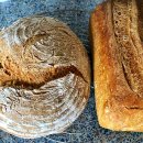 WhatsApp-Backen | Februar 2023