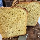 WhatsApp-Backen | Februar 2023