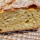 WhatsApp-Backen | Februar 2023