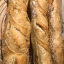 WhatsApp-Backen | Herbst 2023