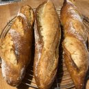 WhatsApp-Backen | Herbst 2023