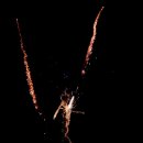 Fischerfest Altrip 2011