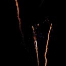 Fischerfest Altrip 2011