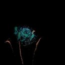 Fischerfest Altrip 2011