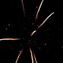 Fischerfest Altrip 2011