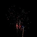 Fischerfest Altrip 2011