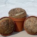 Backhaus-Kalender 2014 - August