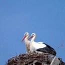 HGV-Kalender 2016 - Dezember