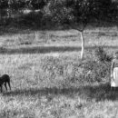 Im Pfarrgarten - vor 1900